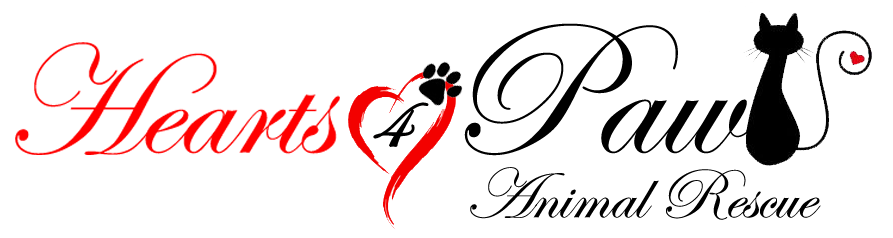 Hearts4Paws Rescue